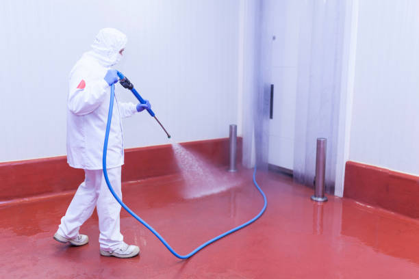 Best Animal Enclosure Cleaning  in Tornillo, TX